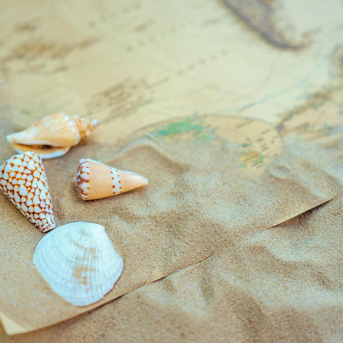 how to create a video with map directions to the beach for instagram, tiktok or youtube